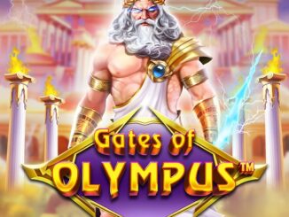 gates of olympus oyunu 2025